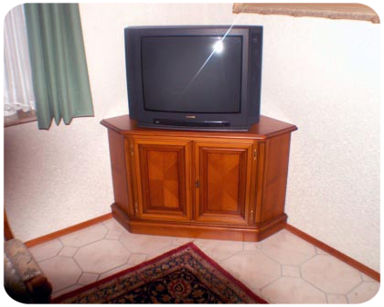 Fehrnsehschrank 1