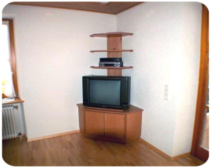 Fehrnsehschrank 2